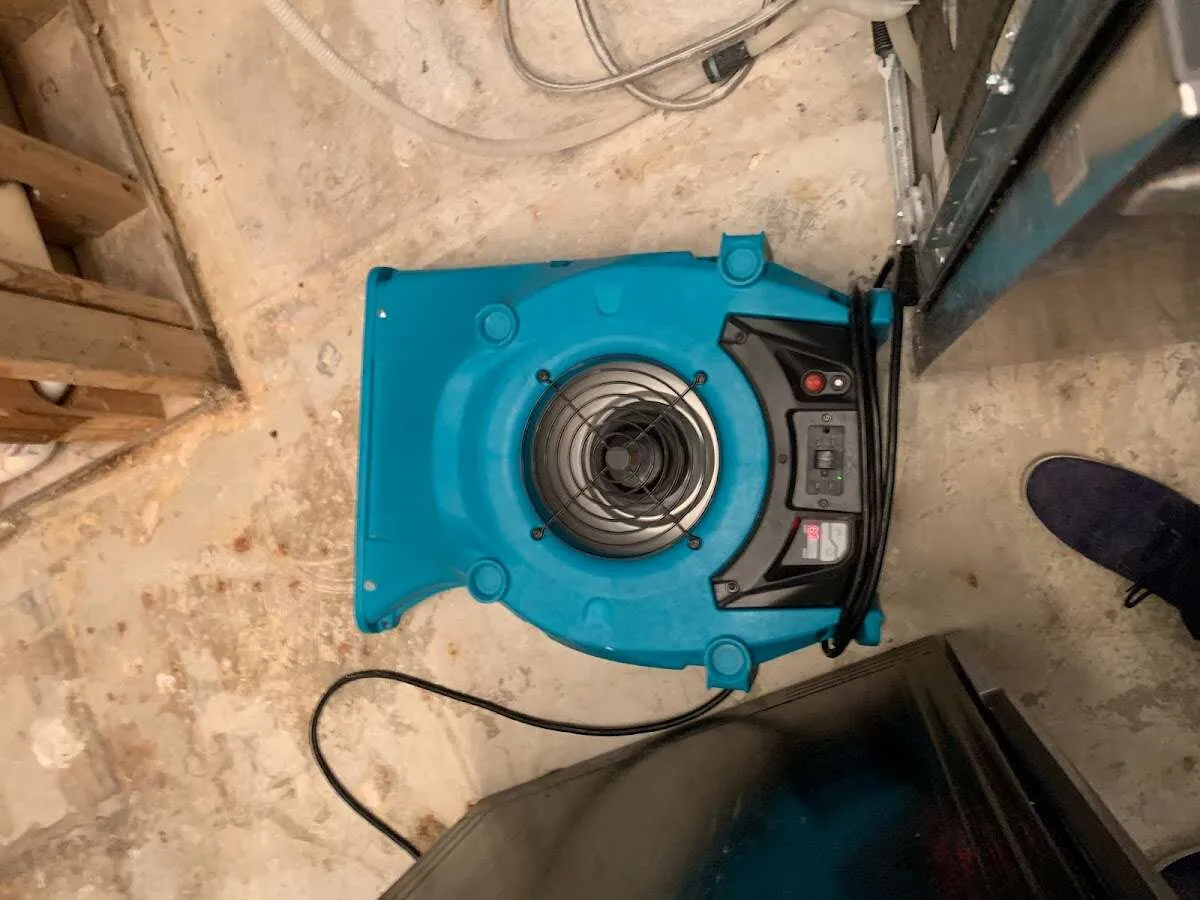 Air mover drying equipment for Mold Remediation & Removal in La Grange